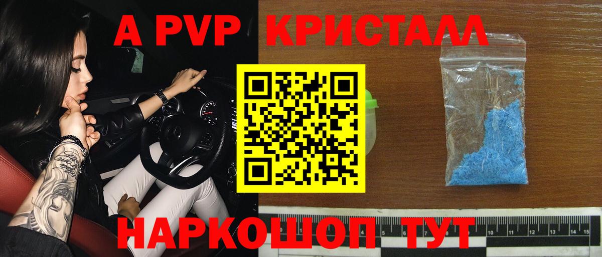 A PVP СК КРИС Котлас